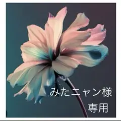 みたニャン様　専用