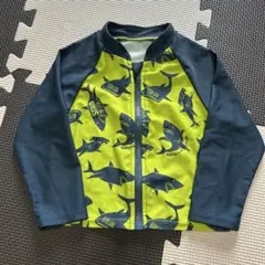 Item thumbnail for item 2ef656f2-6275-41f2-a248-bfcac78f0186