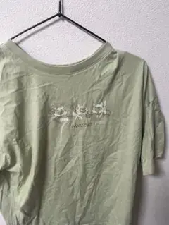 Tしゃつ ニャオハ