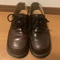 Item thumbnail for item aa5b53ef-5088-4e84-b384-2edab32f883a