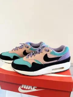 26cm NIKE AIRMAX1 "HAVE A NIKE DAY"