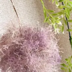 スモークツリーのフライングボール❤️ドライフラワー ハンドメイド10cm