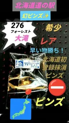 北海道　道の駅北海道初登録抹消ピンズ　希少✨幻276大滝村ピンズ最速発送
