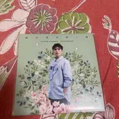 SUPER JUNIOR 桜の花が咲く頃