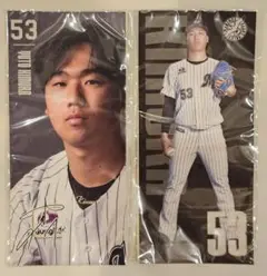 千葉ロッテマリーンズ 選手フォトシール 木村優人