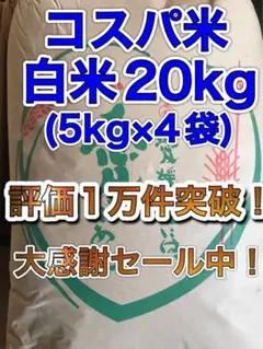 【大特価セール】コスパ米20kg(5kg×4袋) お米 白米【令和4年新米】