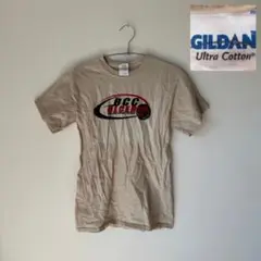 （8月31日までサマーセール中） ギルダン　アメリカ古着Tシャツ
