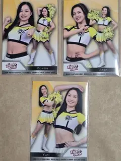 Item thumbnail for item f527fde9-dc20-4e21-8f52-48984cd40000