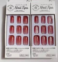 Item thumbnail for item bf095f0a-9e11-4b9f-97f8-e5d376c11f36