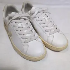 Veja ホワイトスニーカー 25cm