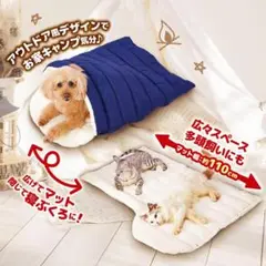 Item thumbnail for item 4e55f04a-b75f-444d-875b-e99b353da47e
