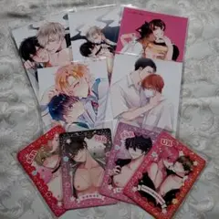 BL ブロマイド カード セット