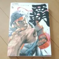 2025年最新】ストリートファイターアートワークス 覇の人気