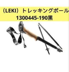 Item thumbnail for item 1564fff6-efe1-47e0-8b07-6ee39ff847ba
