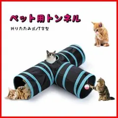 Item thumbnail for item 01173cb2-1ec5-4483-920b-cb9c93956f12