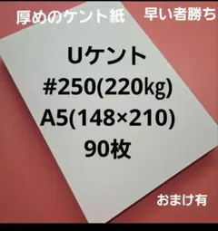 Uケント#250(220㎏)A5. 90枚、厚めのケント紙、用途は色々‼️