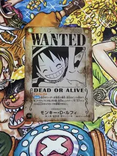 ルフィ　手配書　sp　モンキー・D・ルフィ　受け継がれる意志
