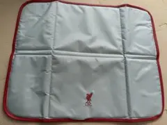 Item thumbnail for item acd14a3b-cabf-451b-8ad7-ec3e88b61514