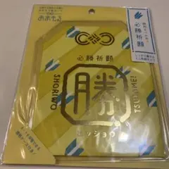 Item thumbnail for item c6ba5a7a-a7a4-4bc7-a70b-204aa042d6d8