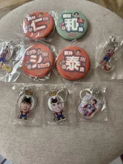 アルビレックス新潟グッズ お好きなものいくつでも