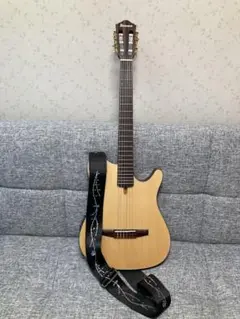 ハードケース付 Ibanez アイバニーズ AEG10NII-TNG エレガット 楽天市場】Ibanez AEG10NII TNG 新品[アイバニーズ][エレガット