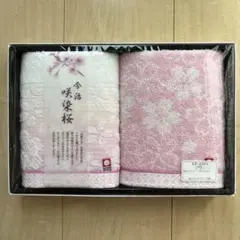 Item thumbnail for item 685675ad-d858-4c39-b2b4-bacfb38c35d5