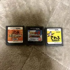 ニンテンドーDS ゲーム3本セット