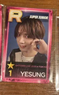 SMTOWN 2025 東京　smtown super juniorイェソン