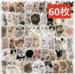 Item thumbnail for item ee72bcf5-37ca-4dff-9576-8532f177481f