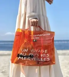 希少 Hermès エルメス クリア ケリーバッグ 限定 ビニールケリー 未使用 希少 Hermès エルメス クリア ケリーバッグ 限定 ビニールケリー