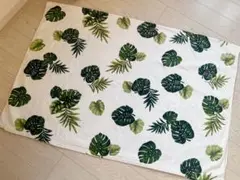 モンステラ　シングル　薄手タオルケット
