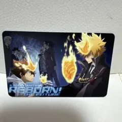 家庭教師ヒットマンREBORN！未来編DVD ミニカード　非売品