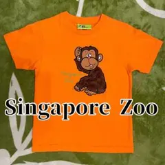 シンガポール動物園 Tシャツ オレンジ おさるさん
