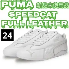Item thumbnail for item 8d8c8e5b-63fd-446e-aed5-018213facca8