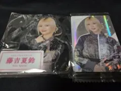 Item thumbnail for item 14089c99-8bd6-4788-8cae-39d354ea16bf