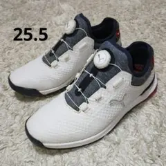 【美品】PUMA ゴルフシューズ　プロアダプト アルファキャット　25.5