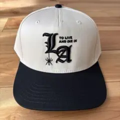 Item thumbnail for item d1654034-2d16-4475-b575-ab9cab3a433c