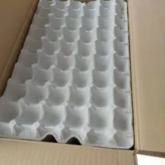 鶏卵のトレー