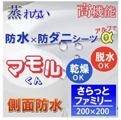 Item thumbnail for item 7ad0dd2f-e9eb-47f3-bf16-7df65fecde1c