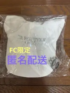 Item thumbnail for item ccfe9da9-eb42-40a6-88db-168e4134c98f
