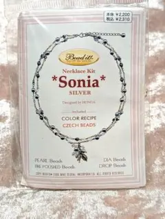 Beadit! ネックレスキット　SONIA　シルバー