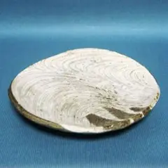 378『粉引 波文様 三足皿』 /骨董品 茶道具 古美術 アンティーク