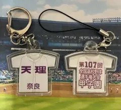 【天理】第107回全国高校野球選手権大会記念キーホルダー【他の学校も可能】