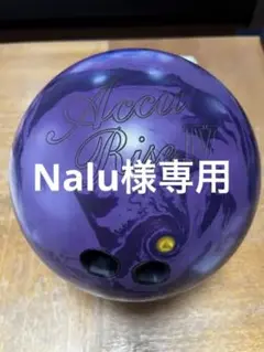 ナノデス アキュライズⅣ(15ポンド)