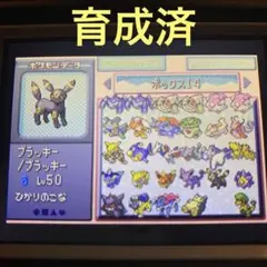 中身充実 ポケモン エメラルド