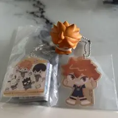 日向翔陽 セット