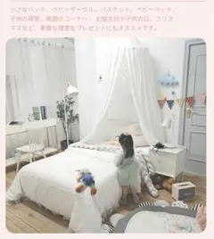 天蓋・キャノピー　ホワイト