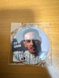 千葉ロッテマリーンズ　ネフタリ•ソト
