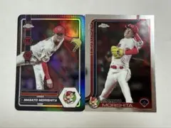 Item thumbnail for item 3436b3ff-a9bc-4828-b0c3-b8a70793718c