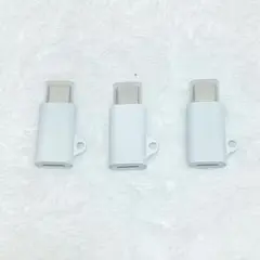 ライトニング USB-C 変換アダプター PD対応 変換コネクタ 3個セット